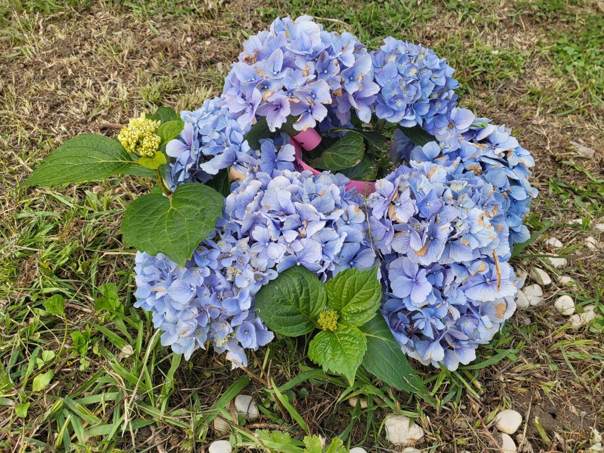 Вилла Angel *